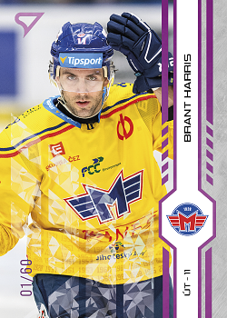 Brant Harris Ceske Budejovice Tipsport ELH 2024/25 SportZoo 2. serie Purple Iceberg /60 #297